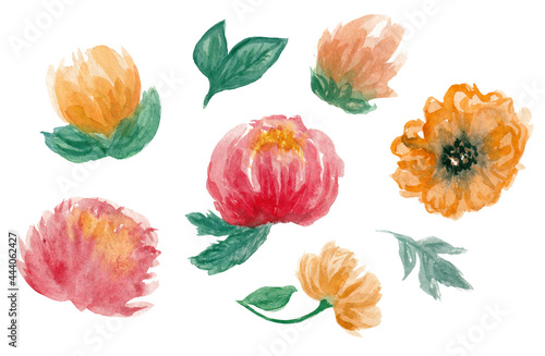 Botanical cute set with watercolor flowers, collection of colorful flowers and leaves isolated on white background. Elements for decor, cards etc.