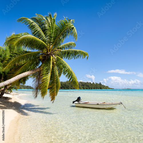 Summer vacation on a tropical island in the South Seas, Bora Bora, French Polynesia photo