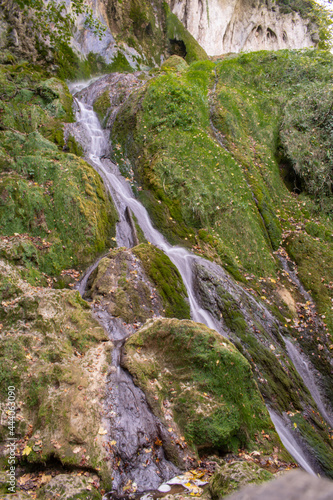 waterfall in the forest