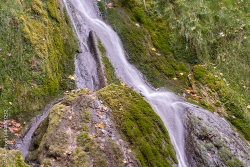 waterfall in the forest