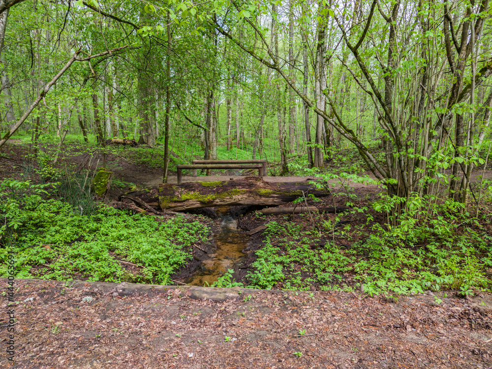 Bridge over the stream in the green forest among the trees. Bridge over the stream in the green forest among the trees.