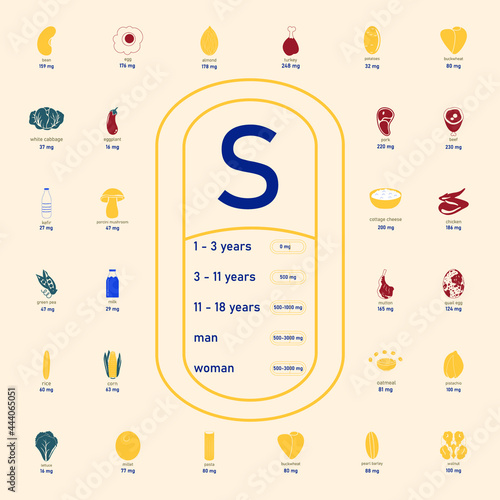 Sulfur in product. Daily sulfur rate. Minerals in food. Image of foods containing sulfur A healthy and nutritious diet.