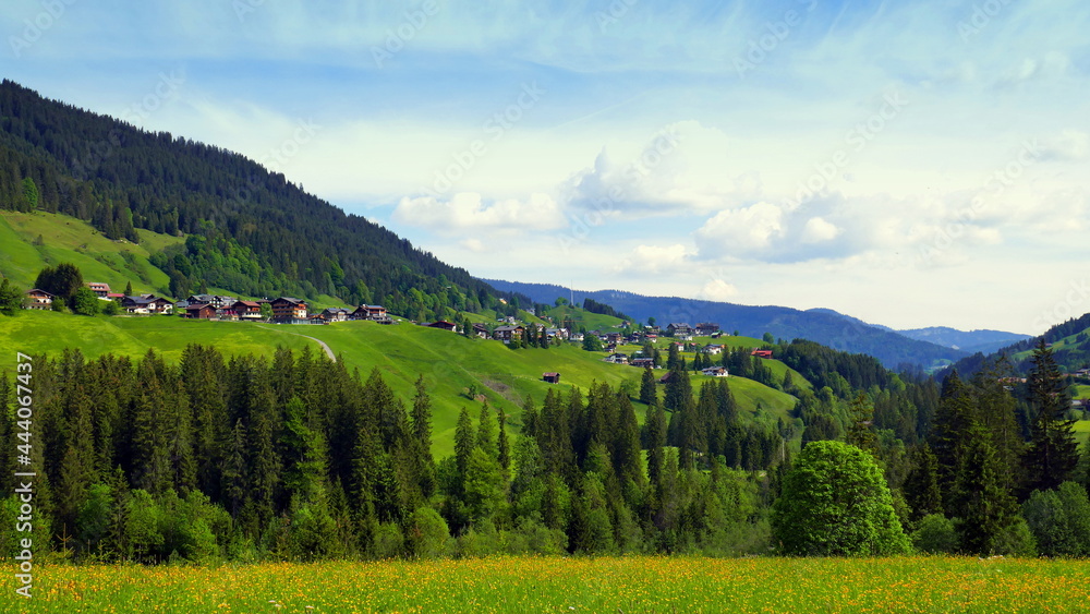 Aussicht im Kleinwalsertal auf Dorf Mittelberg umrahmt von grünen Wiesen und Wald unter blauem Himmel