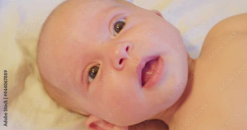 portrait of a little cute newborn baby with a curious look.extremely close-up. portrait of a little cute newborn baby with a curious look.extremely close-up.