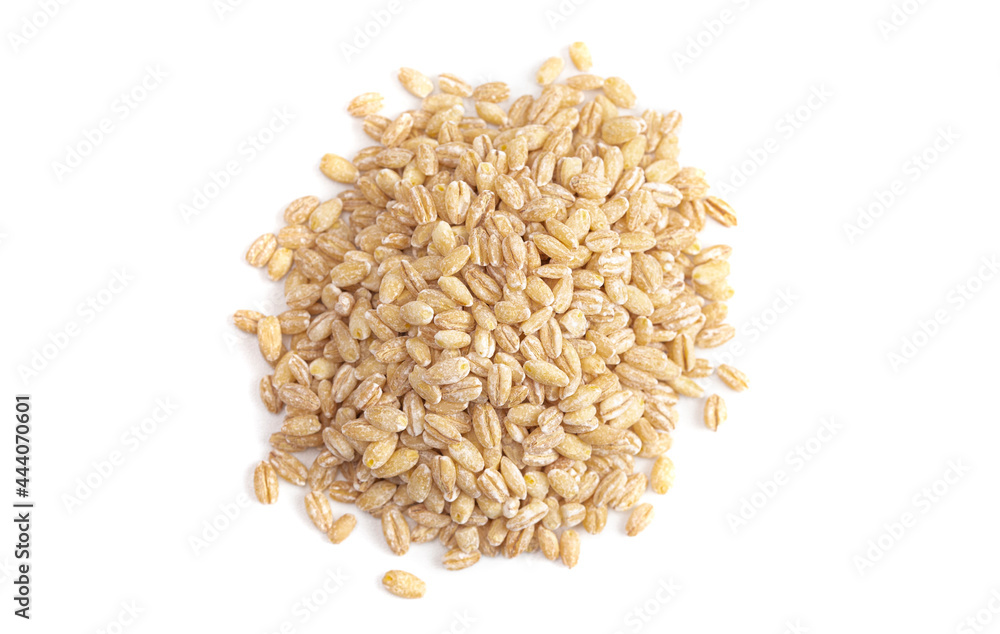 Pile of Barley Wheat Isolated on a White Background Pile of Barley Wheat Isolated on a White Background