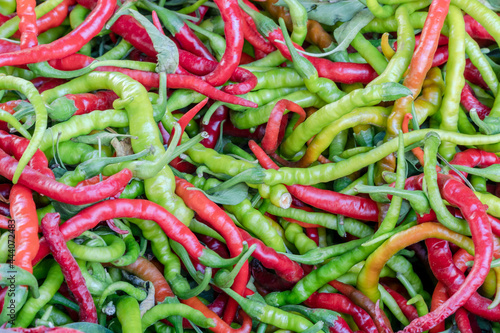 pile of colorful fresh peppers as a background