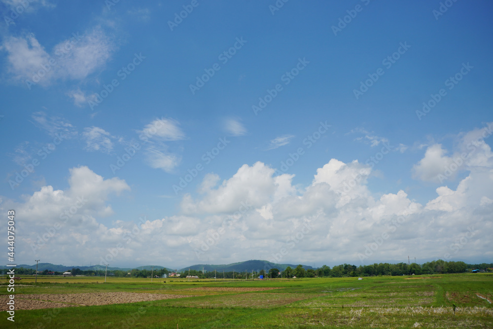 Cumulus Clouds above the fields on a clear day. Clouds with Vertical Development. Cumulus Clouds above the fields on a clear day. Clouds with Vertical Development.