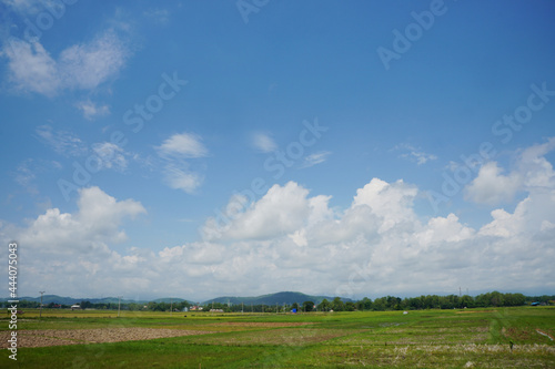 Cumulus Clouds above the fields on a clear day. Clouds with Vertical Development.