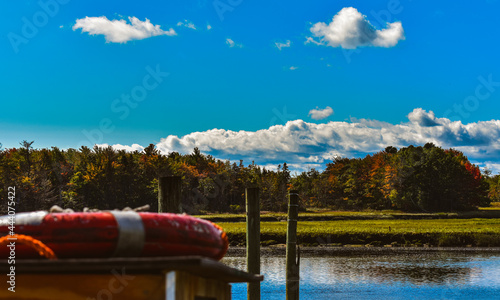 Fall leaves in Scarborough Maine.  photo