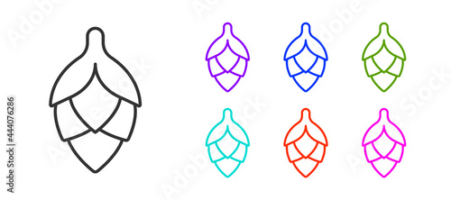 Black line Hop icon isolated on white background. Set icons colorful. Vector