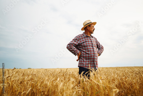 Farmer  in the hatstraw hat standing in a wheat field, looking at the crop. The concept of the agricultural business. © maxbelchenko