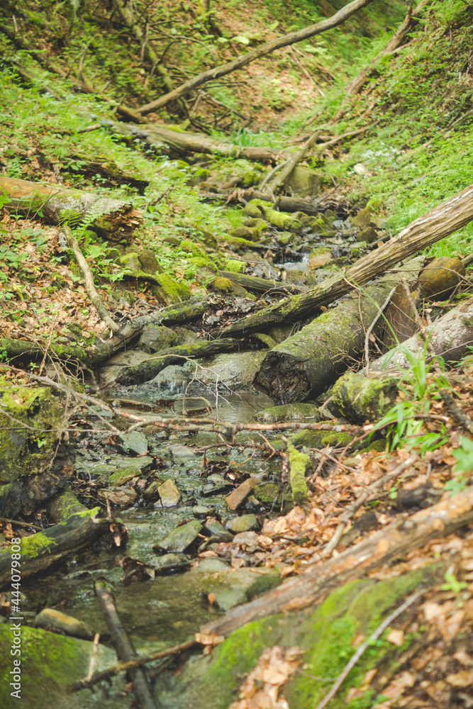 v shaped valley inside of a forest v shaped valley inside of a forest