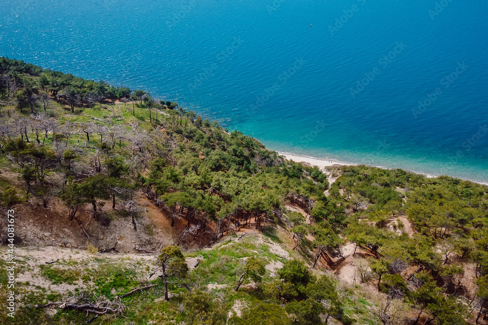Aerial view of coastline with pine trees and blue transparent sea. Summer on Black sea