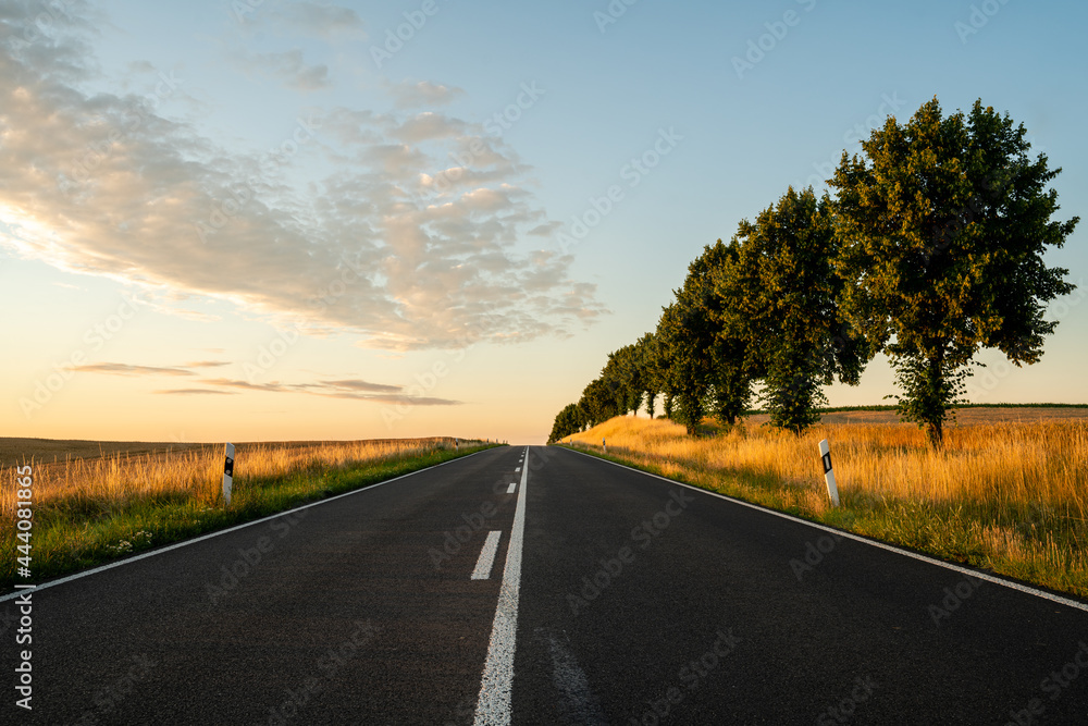 Fototapeta premium beautiful, scenic road connecting German towns at sunset