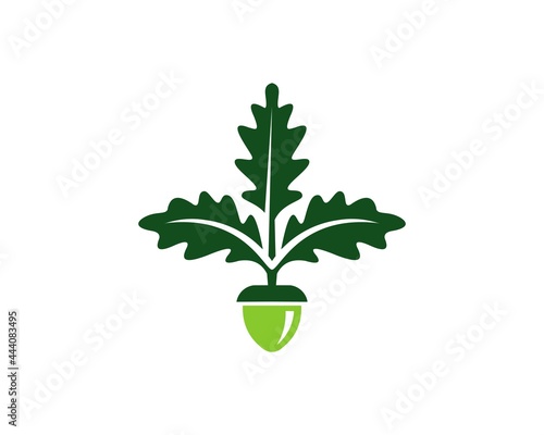 oak leaf and seed logo