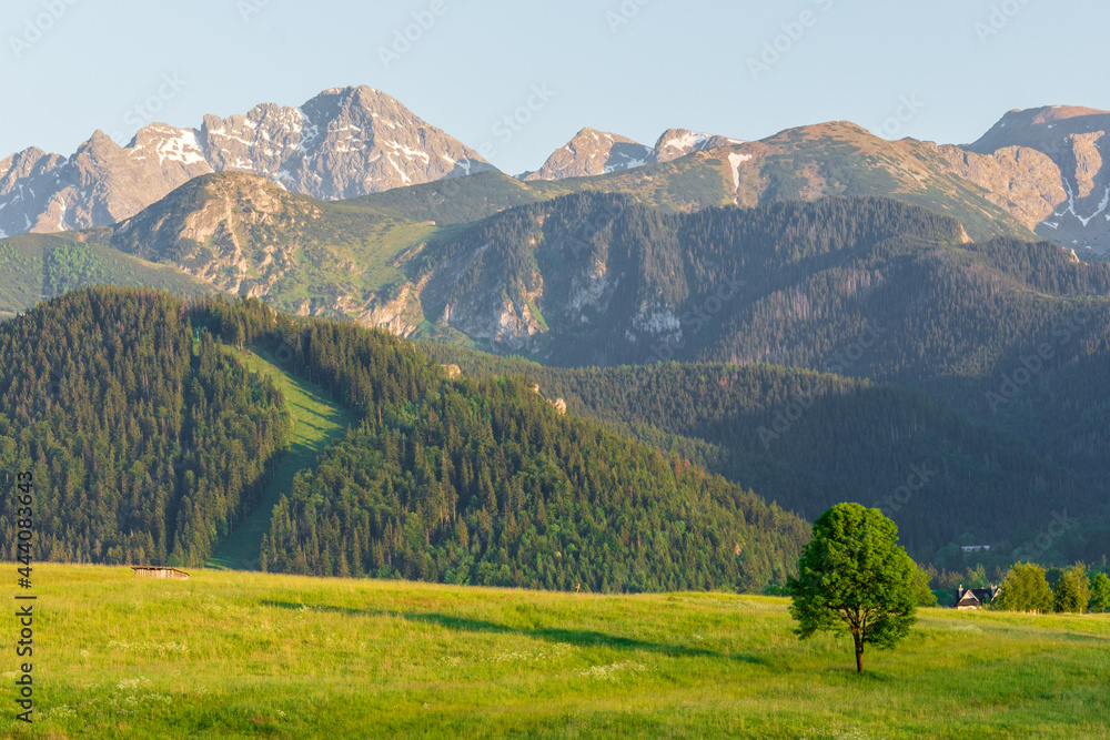 Zakopane. View of the Tatra National Park from Bochladzki Wierch