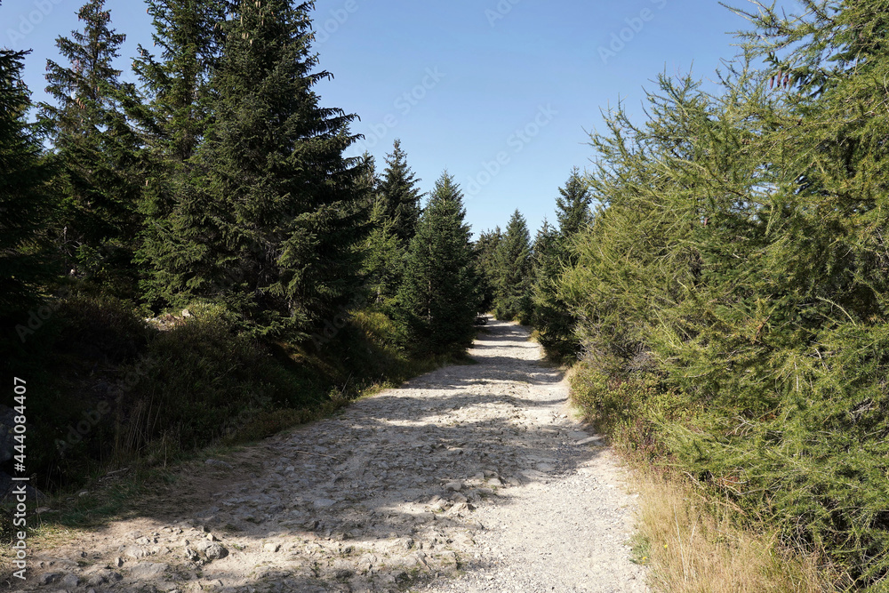 September in the Jizera Mountains, hiking along a stone path September in the Jizera Mountains, hiking along a stone path