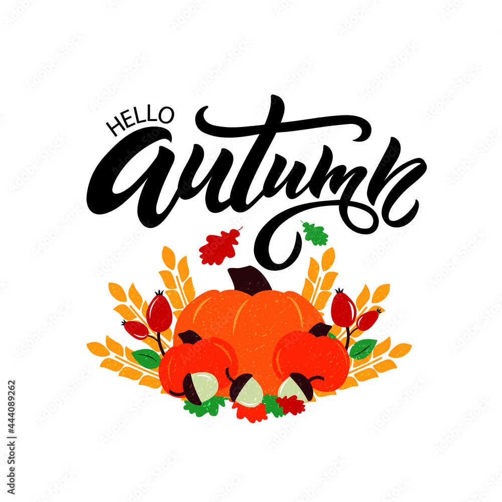 Hello autumn handwritten phrase. Modern brush ink calligraphy. Hand lettering, vintage illustration of pumpkin and berries for card, poster, emblem, banner, logo. Grunge effect. Autumn mood. Vector 