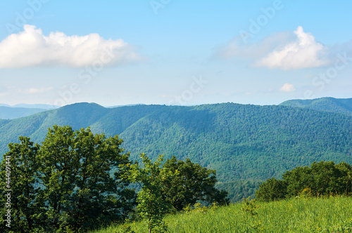 Panoramic view of the spring landscape  countryside. Green forests and meadows  blue sky with white clouds.