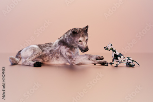Robot dog series: real dog meets robot dog photo