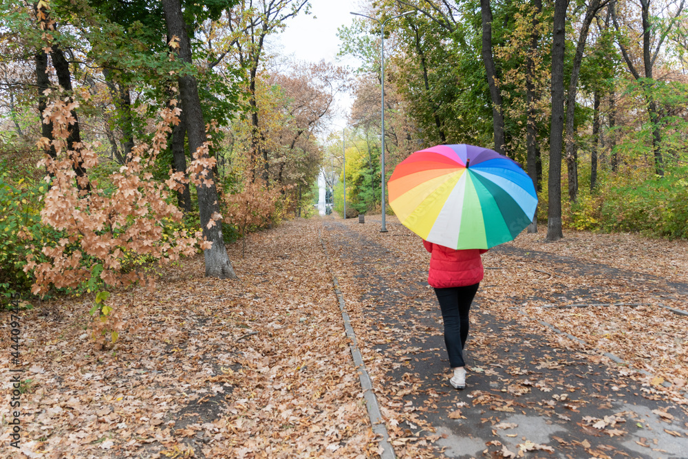 Back view of girl under big colorful umbrella walking in autumn park by asphalt footpath covered with fallen leaves, weather forecast.