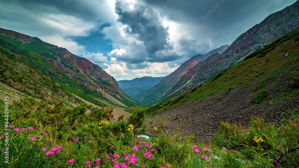 Mountain blooming valley