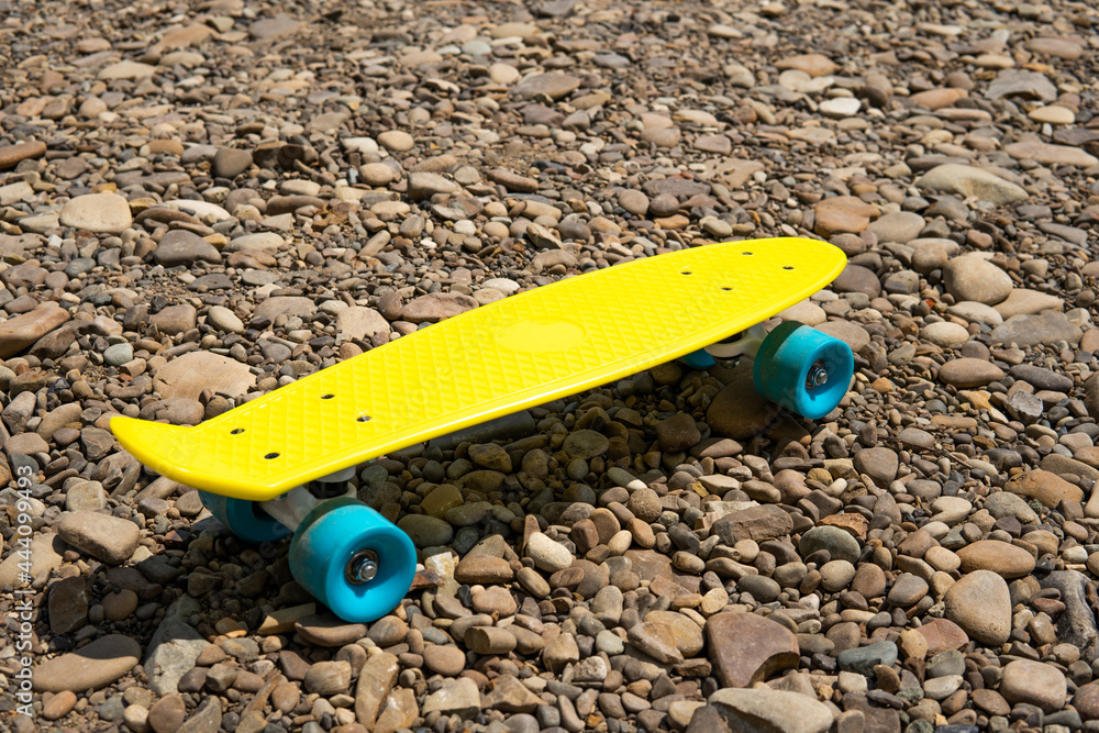 penny board on the street in nature penny board on the street in nature
