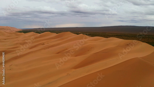Desert border. the same line where the sand ends
