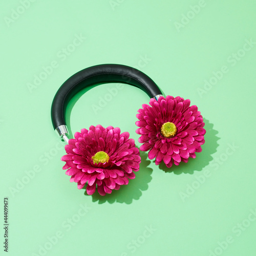 headphones with gerbera daisies photo