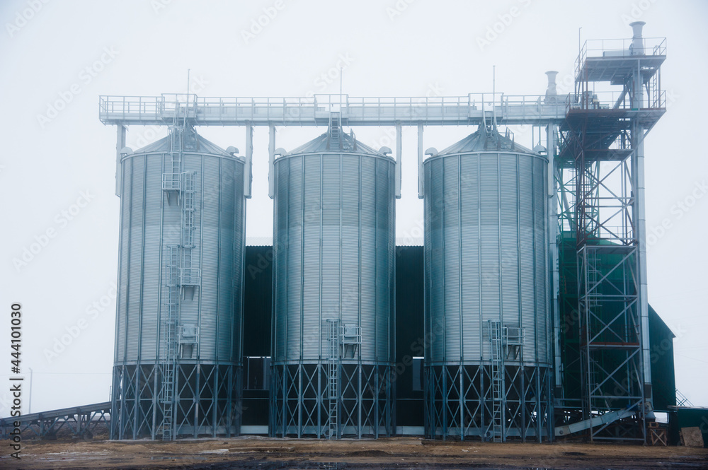 Grain processing facility