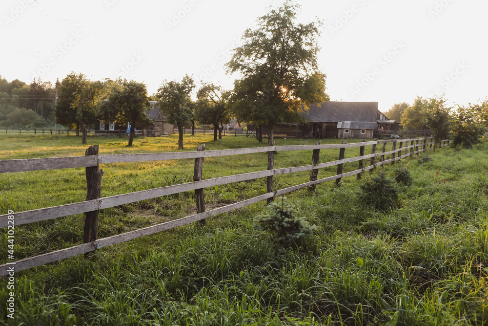 picturesque meadow field and summer landscape at sunset picturesque meadow field and summer landscape at sunset