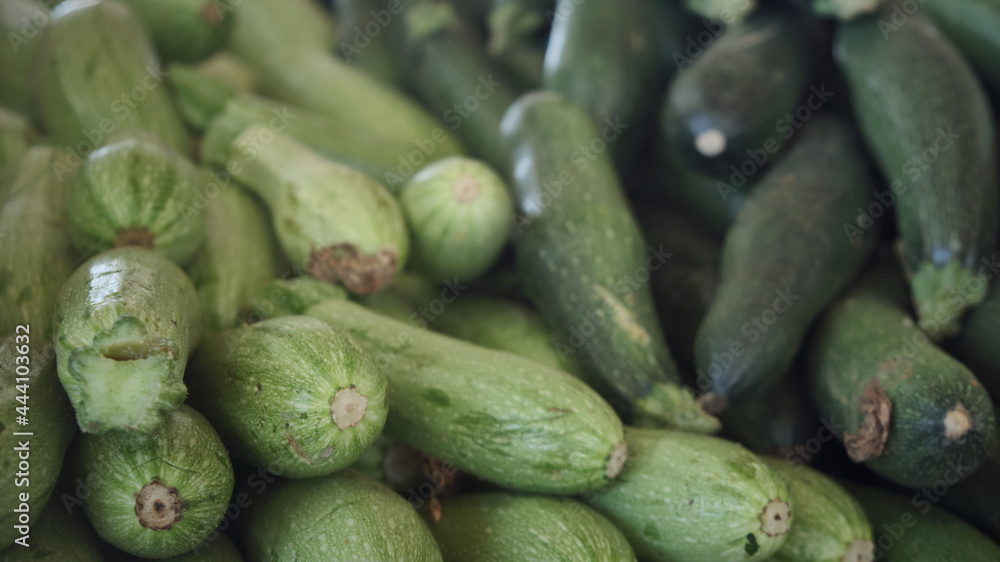 Zucchini at market. Raw ripe squashes. Courgettes Zucchini at market. Raw ripe squashes. Courgettes