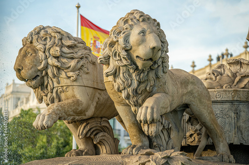 Statue of the goddess Cibeles and the lions in the city of Madrid, Spain, during a sunny summer day with few clouds	 photo