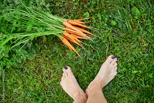Top view female barefoot leg on grass with branch of raw organic carrots, homegrown, harvest, healthy vegan food, summer sunlight