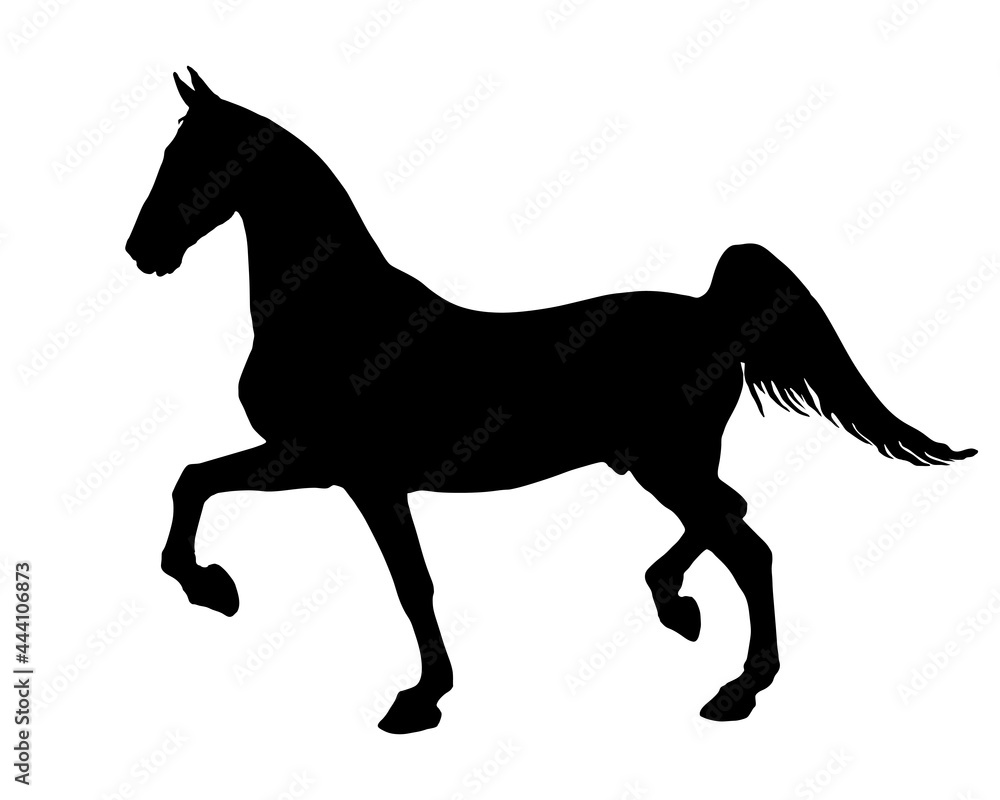 black silhouette  on a tennessee horse, isolated on a white background