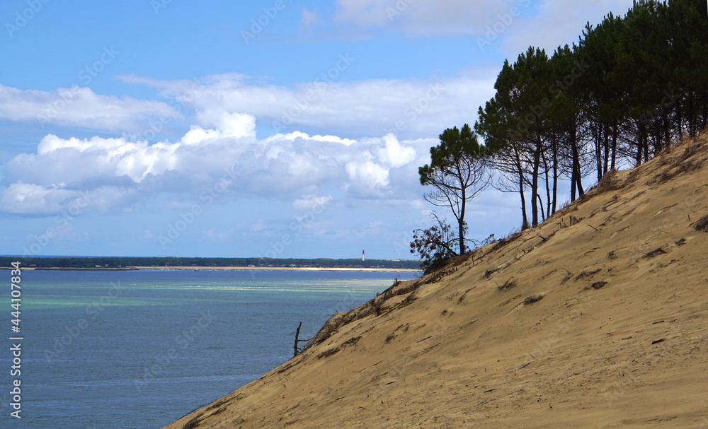 Fototapeta premium Bassin d'Arcachon depuis la dune du Pilat - vue sur le phare de Cap Ferret