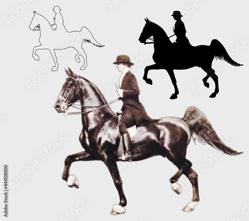 a set of silhouettes of different silhouettes of a woman on a horse, isolated on a light background
