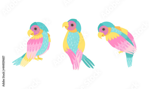 Beautiful Colorful Parrots Set, Exotic Tropical Birds Cartoon Vector Illustration