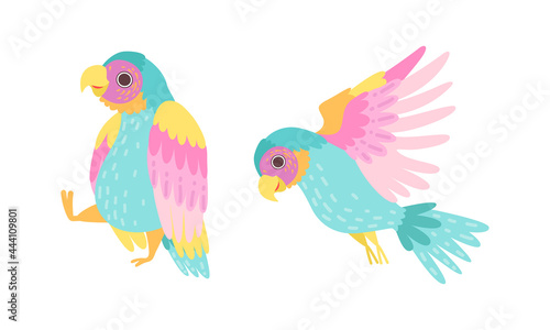 Beautiful Parrots Exotic Tropical Birds Set Cartoon Vector Illustration