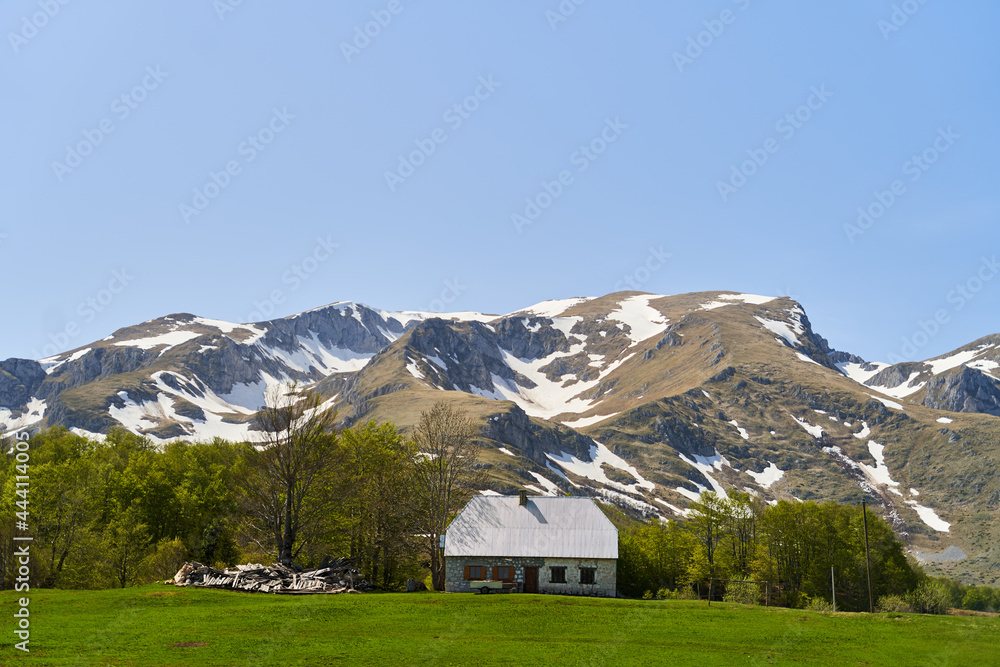 A lonely house in a green meadow against the backdrop of a mountain with snow. Montenegro