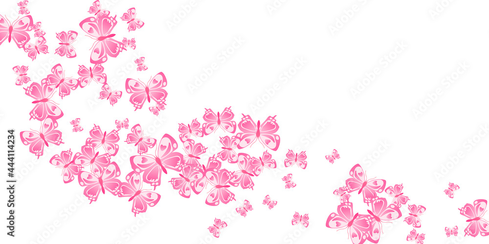 Romantic pink butterflies isolated vector wallpaper. Spring colorful insects. Fancy butterflies isolated girly background. Sensitive wings moths graphic design. Tropical creatures.