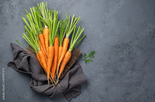 A young carrot on a gray-blue background. An organic  healthy product.