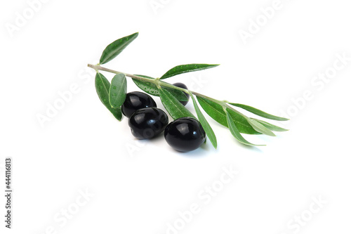 Ripe black olives with leaves on a white background.  Green leaves with olives.