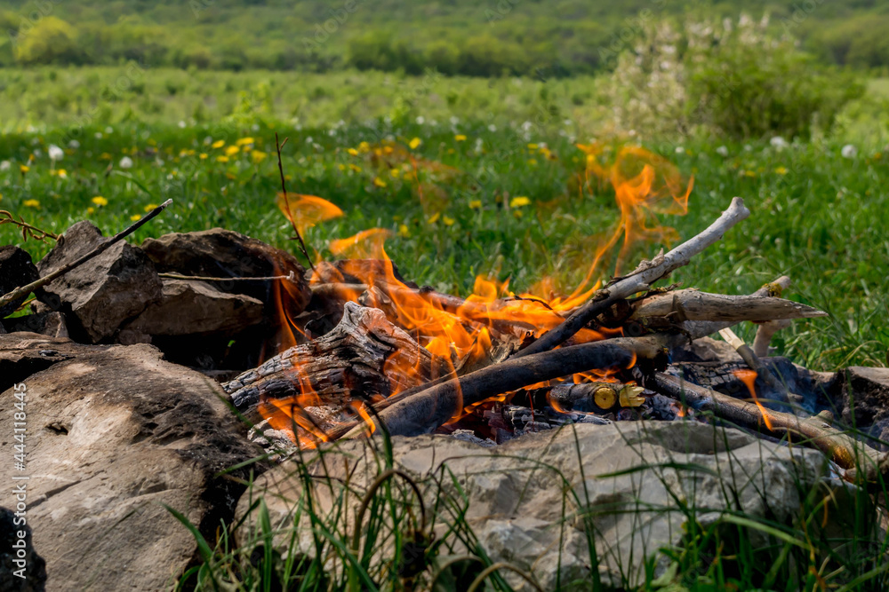 Campfire picnic Campfire picnic
