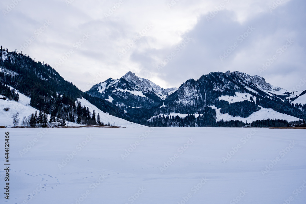 Frozen lake with mountain views - Plaffeien, Switzerland