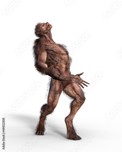 Obraz na plátně 3D illustration of a werewolf looking up as if howling at the moon isolated on white