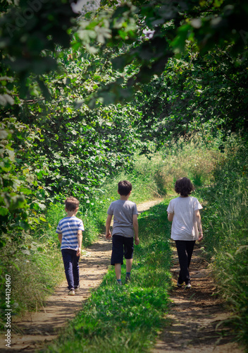 Three little brothers walking on the path through the forest