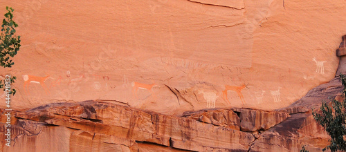   ancient  native american  pictographs of elk and pronghorn  at canyon de chelly national monument, arizona         photo