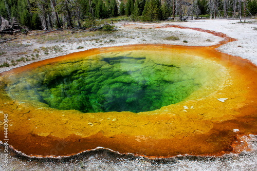 colorful morning glory pool in the upper geyser basin of yellowstone national park, wyoming, on a sunny day