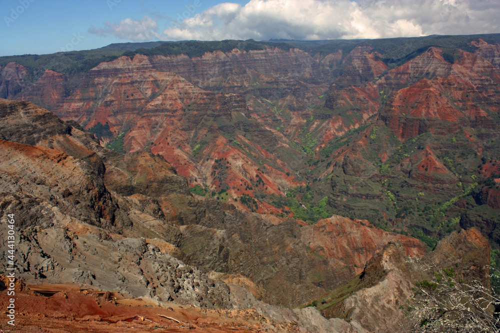 viewpoint  looking out at colorful, eroded waimea canyon and rain forests in kauai, hawaii